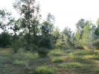 View photo